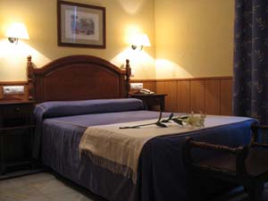 Standard double for single use with private facilities (bath)